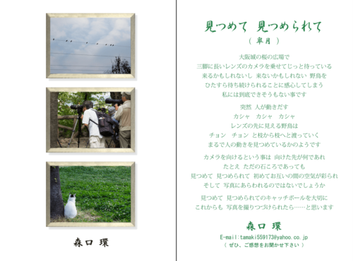 2015年5月 組写真ハガキ