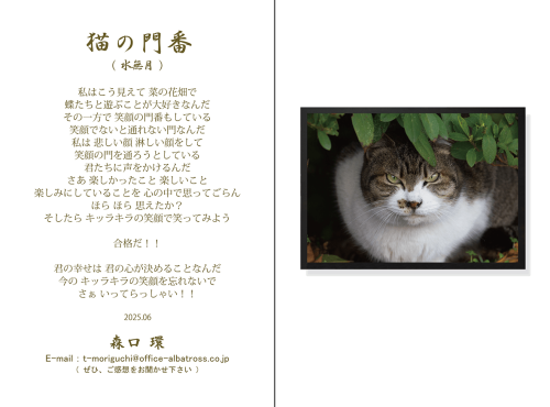2025年06月写真と「ものがたり」