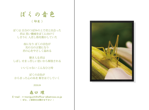 2026年04月