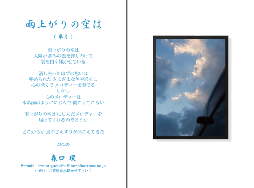 2026年05月